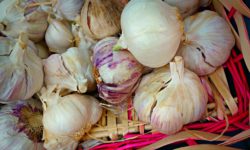 Jak żywić dziecko aby wzmocnić jego odporność ?