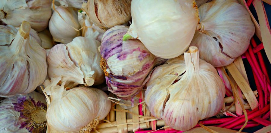 Jak żywić dziecko aby wzmocnić jego odporność ?